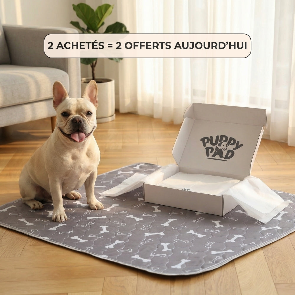 PuppyPad - Tapis de Propreté Réutilisable & Durable