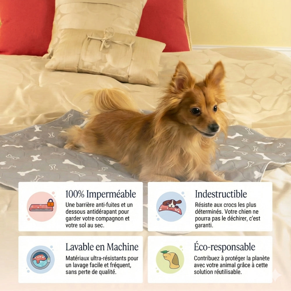 PuppyPad - Tapis de Propreté Réutilisable & Durable