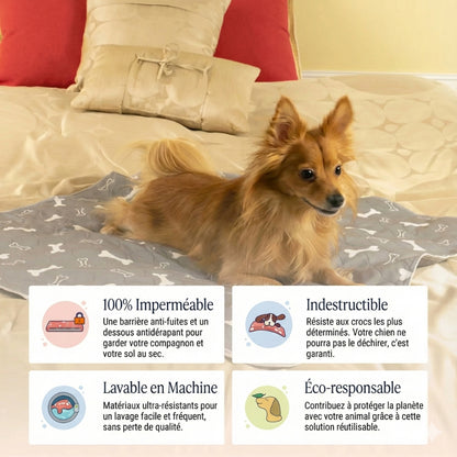 PuppyPad - Tapis de Propreté Réutilisable & Durable